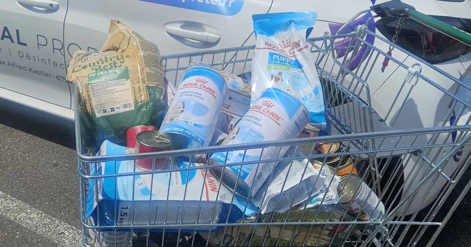 Caddie rempli de croquettes, pâtée Royal Canin et fournitures offertes par Kartal Propreté pour soutenir le refuge LPO Alsace et la faune sauvage en détresse